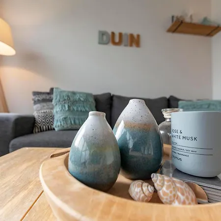 Vakantiehuis Duinland 245 For 6 Guests Near Sea